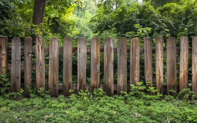 Clôtures de jardin : allier sécurité, esthétique et durabilité