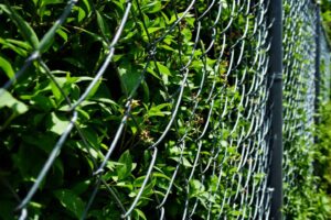 Bien choisir sa clôture en grillage pour votre jardin : sécurité et esthétisme à l’unisson